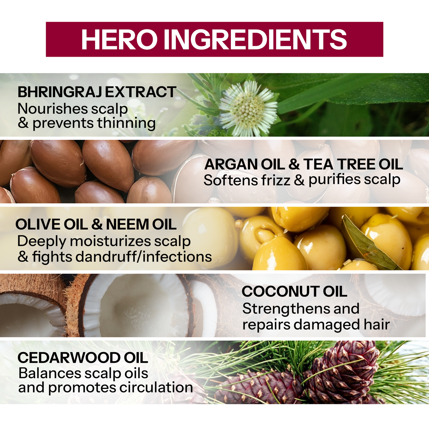 DA POSH Multipurpose Hair Oil – Stronger Roots & Healthier Hair